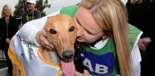 Back to culture: why greyhound racing was attacked