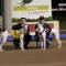 Wynburn Cutie to target middle distance campaign…but not yet