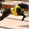 Two top $20K at 2017 Ready 2 Race Sales