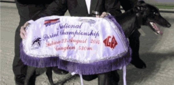 Richmond Maiden: Chica Destacada produces an outstanding girl