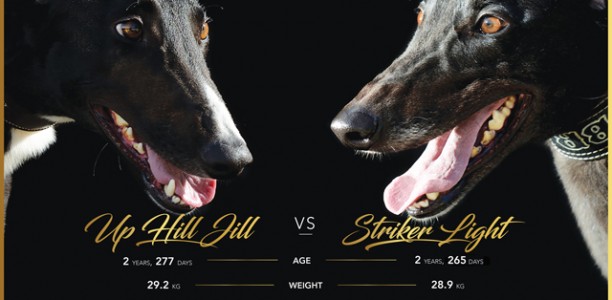 In your Herald Sun Friday: Rivals to light up Cup