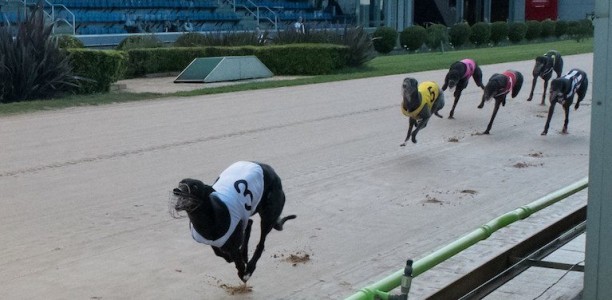 Fanta Bale earns $1 million in Group 1 Bold Trease