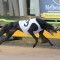 Group 1 Bold Trease win takes the pressure off Fanta Bale