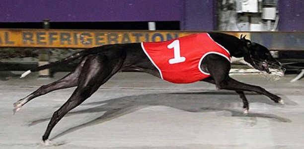 Desert Rampage continues stellar form at Mandurah