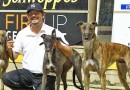 Greyhound export restrictions stop the growth of greyhound racing