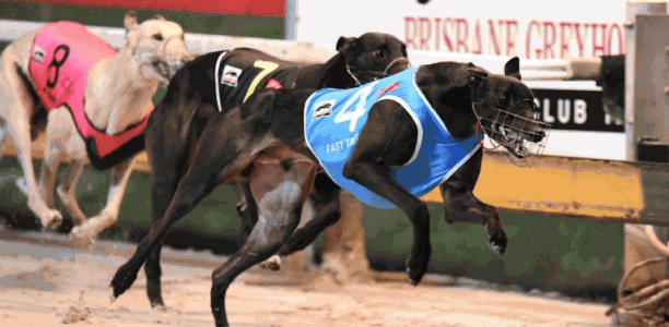 Fast Times sure to improve heading into Brisbane Cup