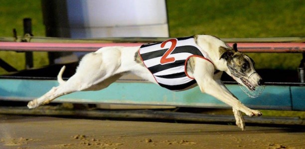Triple shot for Roberts in Group 1 Spion Rose final