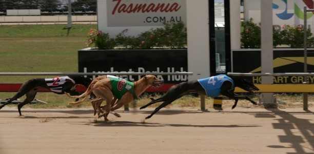 Fifteen Two primed for a crack at another Hobart Thousand