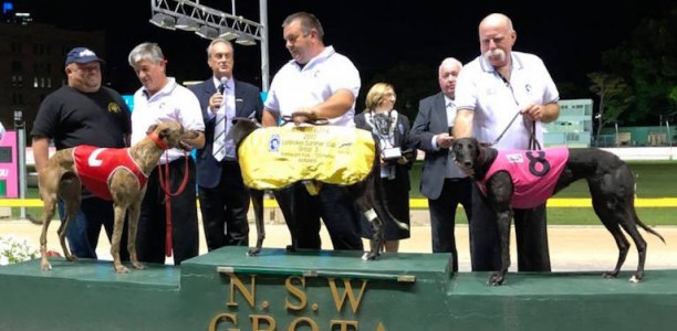 Scott Keeping causes a boilover in Group 3 Summer Cup