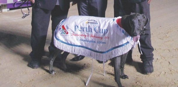 Equanimity wins 2017 Anniversary Cup
