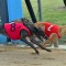 More group glory awaits Zipping Katelyn and Riley Tokaam