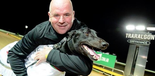Four time group winner Pantera Nera retired to stud
