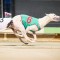 High Eden Frost to give his rivals a chill in Sprint Championship