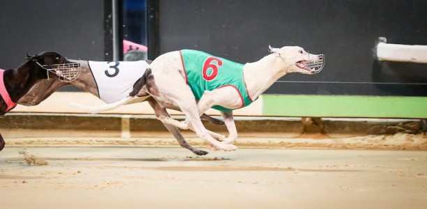 High Eden Frost to give his rivals a chill in Sprint Championship