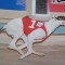 Why I’ll always remember the 2008 Group 1 Paws of Thunder