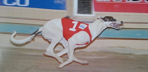Why I’ll always remember the 2008 Group 1 Paws of Thunder
