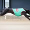 Mackellar excited about boom pup Victa Louise after slick wins