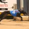 Cyndie out to work her magic in Group 3 Queensland Cup