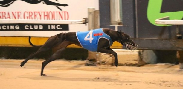 Cyndie out to work her magic in Group 3 Queensland Cup