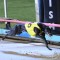 Tuggeragh out to score an upset in Friday’s Group 2 Traralgon Cup
