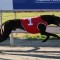 NZ trainers slam new policy seeking to ban squeakers