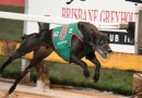 Jalapeno hits hot form in 2018 Group 3 Queensland Cup