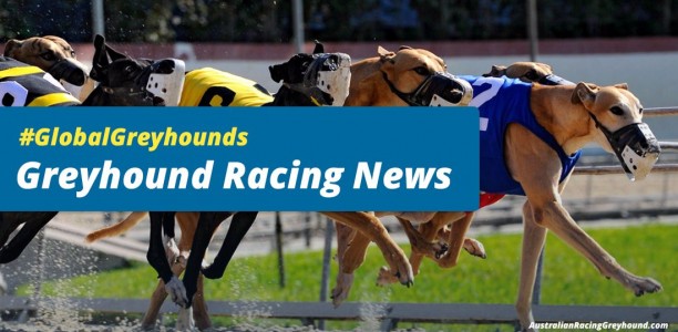 ‘Rescue’ group turns down potential adopter for supporting racing