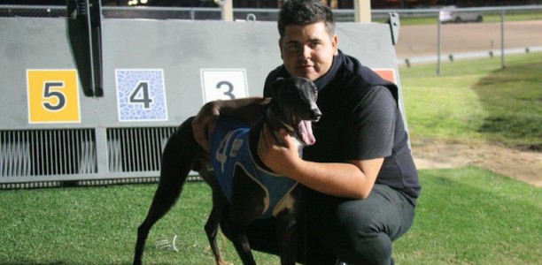 Rock Up Top brilliant in Group 2 Launceston Cup heat