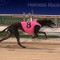 Full Speed set to hit full throttle in Christchurch Futurity