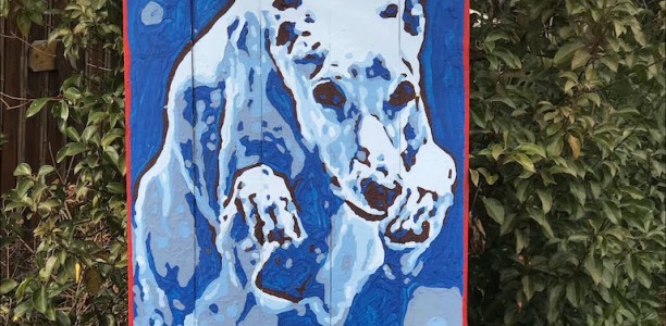 Sonksen painting a positive picture of Florida greyhound racing
