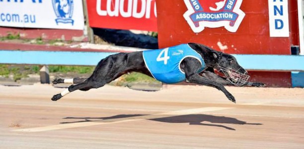 NSW’s leading trainers slam tracks, call for immediate action