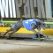 Burman hopeful she can pop the Champagne after Zoom Top