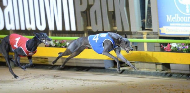 Burman hopeful she can pop the Champagne after Zoom Top