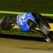 Brothers shooting for group 1 double at The Meadows