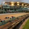 Australian Cup Carnival receives financial support from VIC Gov