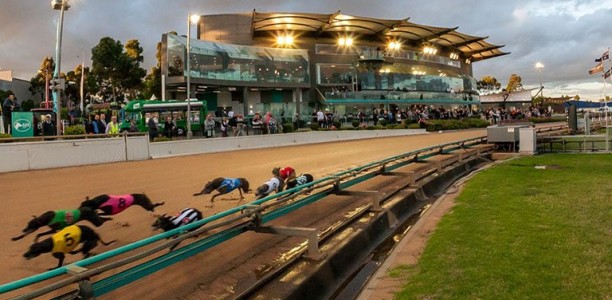 Australian Cup Carnival receives financial support from VIC Gov