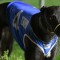 Champion racer Fanta Bale wins 2018 Group 1 Zoom Top