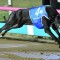 Delbridge no longer a Group 1 ‘Rookie’
