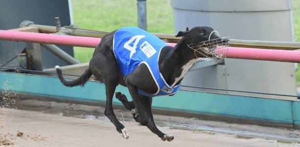Dyna Dean dominates Group 1 Rookie Rebel from start to finish
