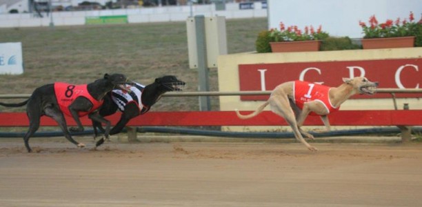 Del Rey leads all the way in 2018 Group 2 Launceston Cup