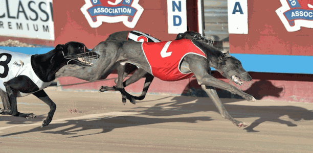 Ritza Lenny defies career threatening injury to win Cyril Rowe Cup