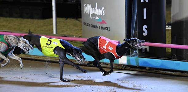 Hecton Bale Wins Australian Cup