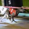 Dirk Bale breaks through for maiden group 1 in 2018 Auckland Cup