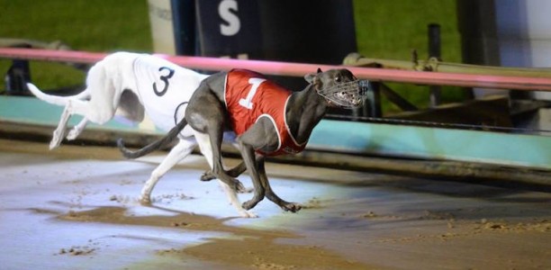 Dirk Bale breaks through for maiden group 1 in 2018 Auckland Cup