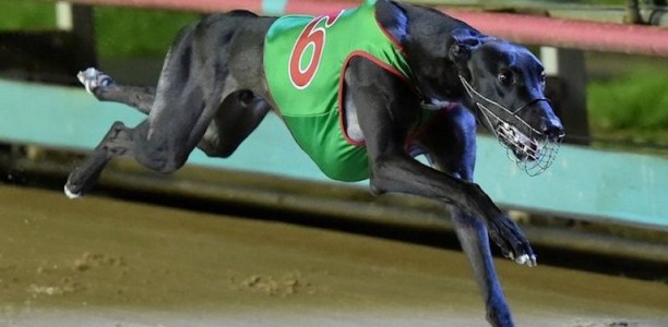 Jesaulenko ready to prove age is just a number at The Meadows