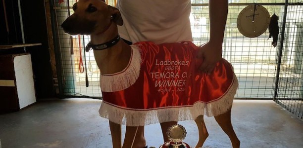 Nitro Blast salutes in 2018 Temora Cup