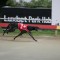 Elsey Gregg hits purple patch of form at Hobart