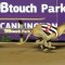 West On Augie salutes in 2018 WA Puppy Classic at Cannington