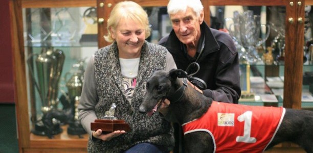 Just Browsing wins Launceston Breeders Classic final