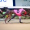 Rasmussen has the numbers to take out Easter Cup